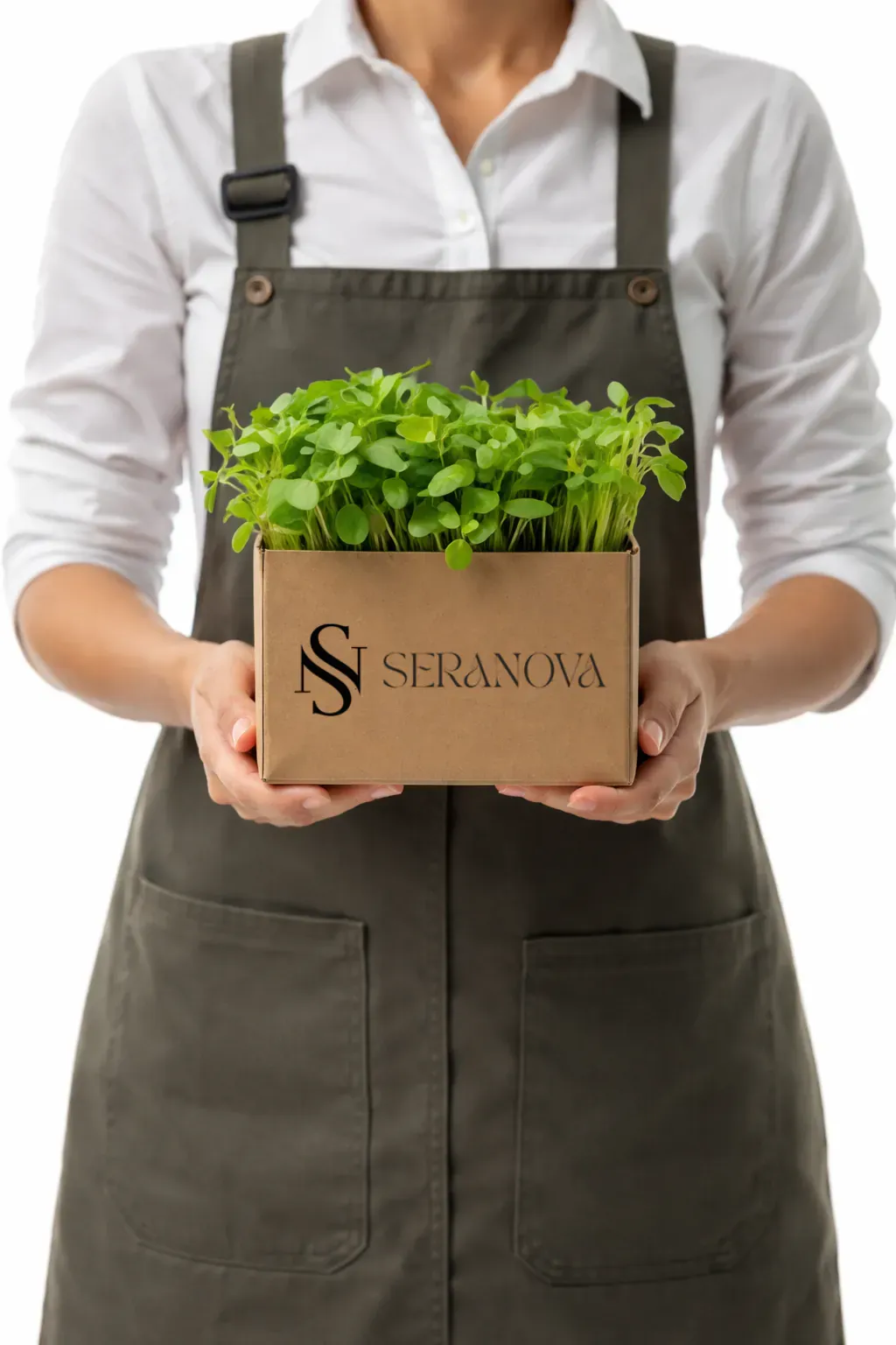 Taze mikrofiliz teslimatı