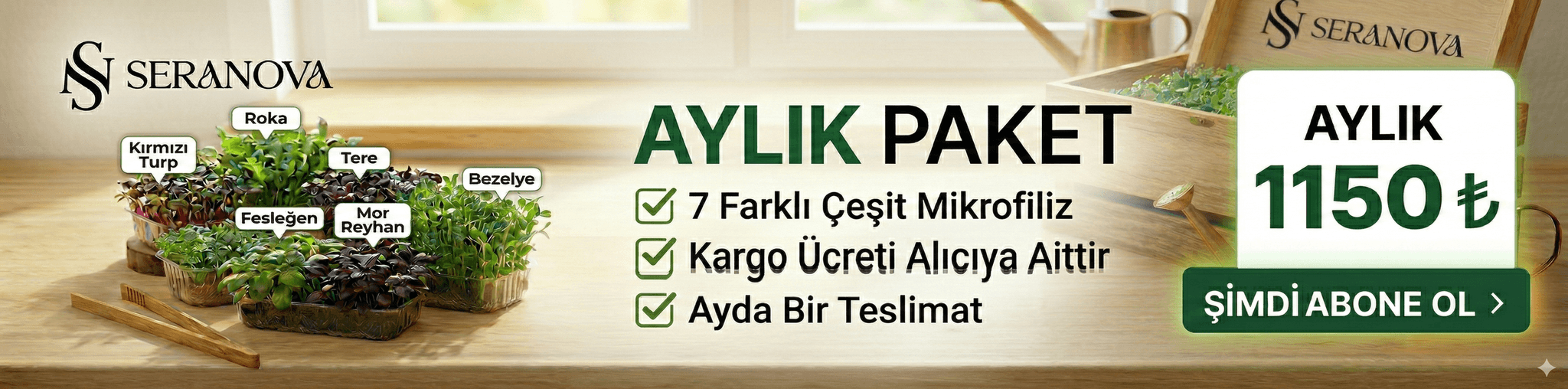 Aylık Standart Paket