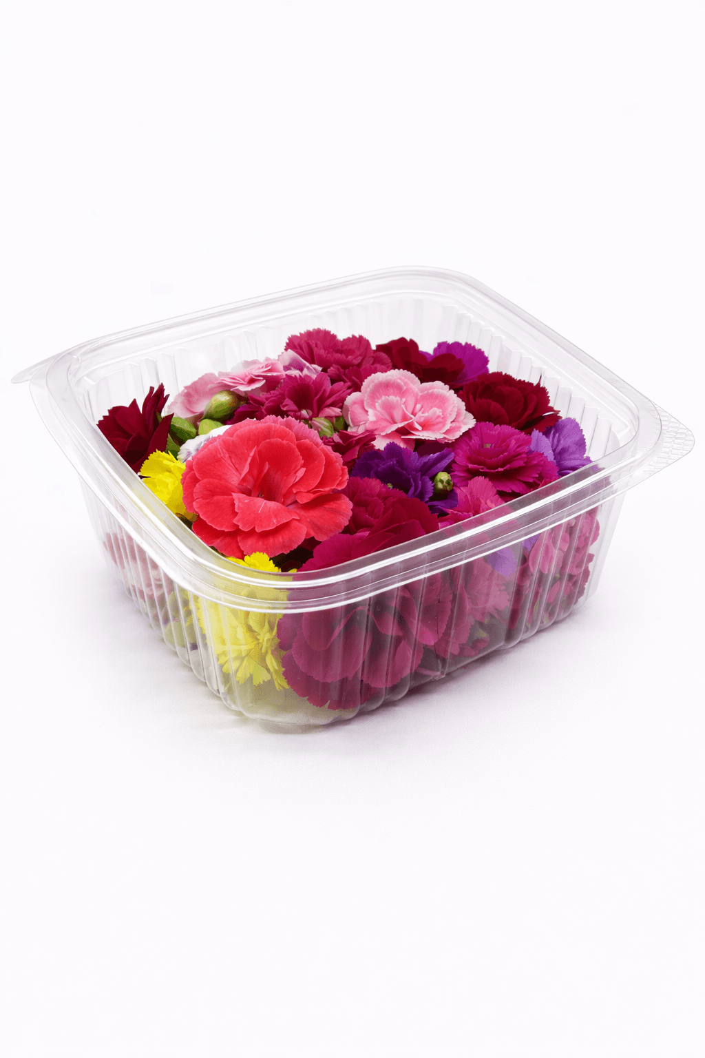 Karışık Renkli Karanfil