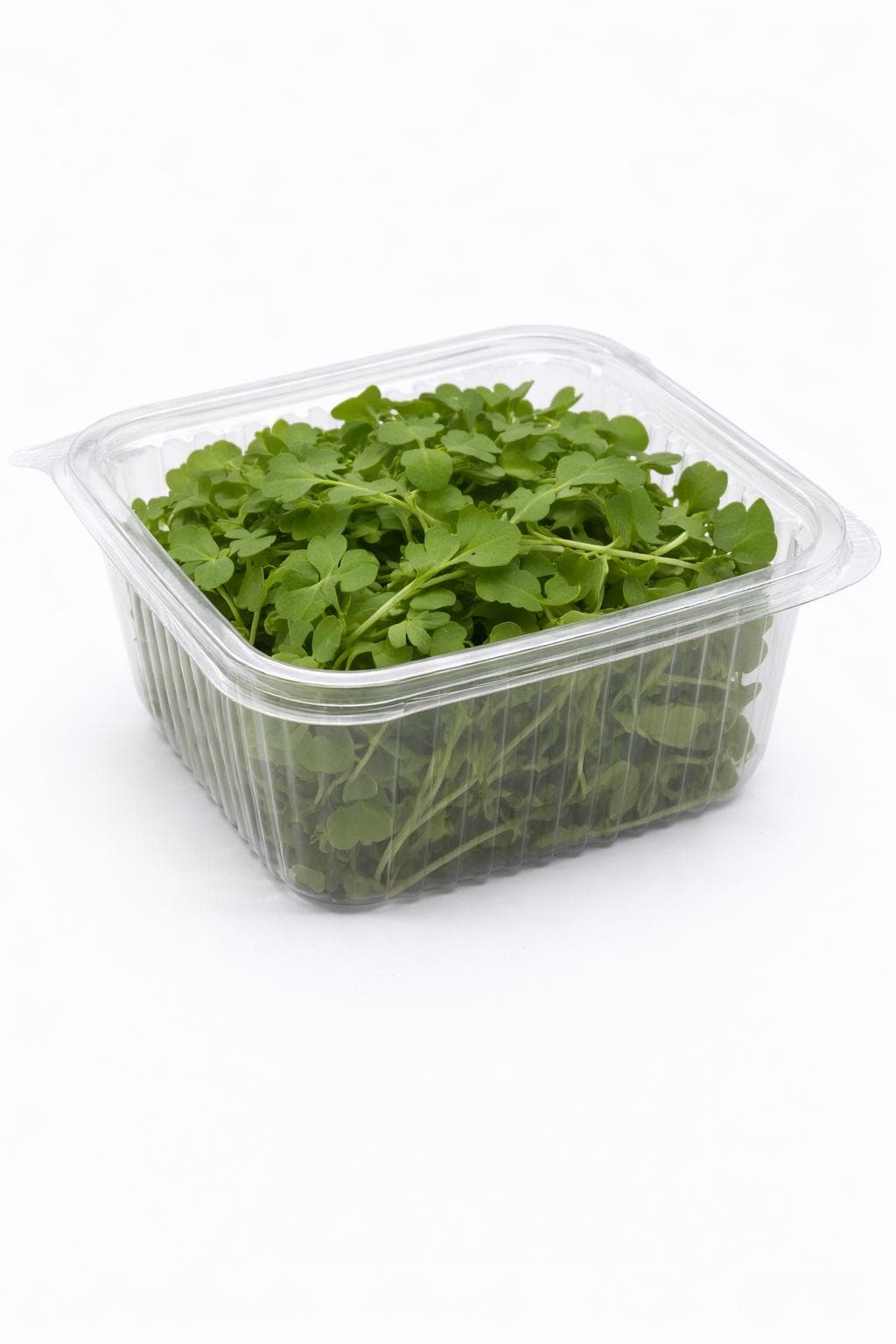 Roka (Arugula) - Hasat Edilmiş Mikrofiliz