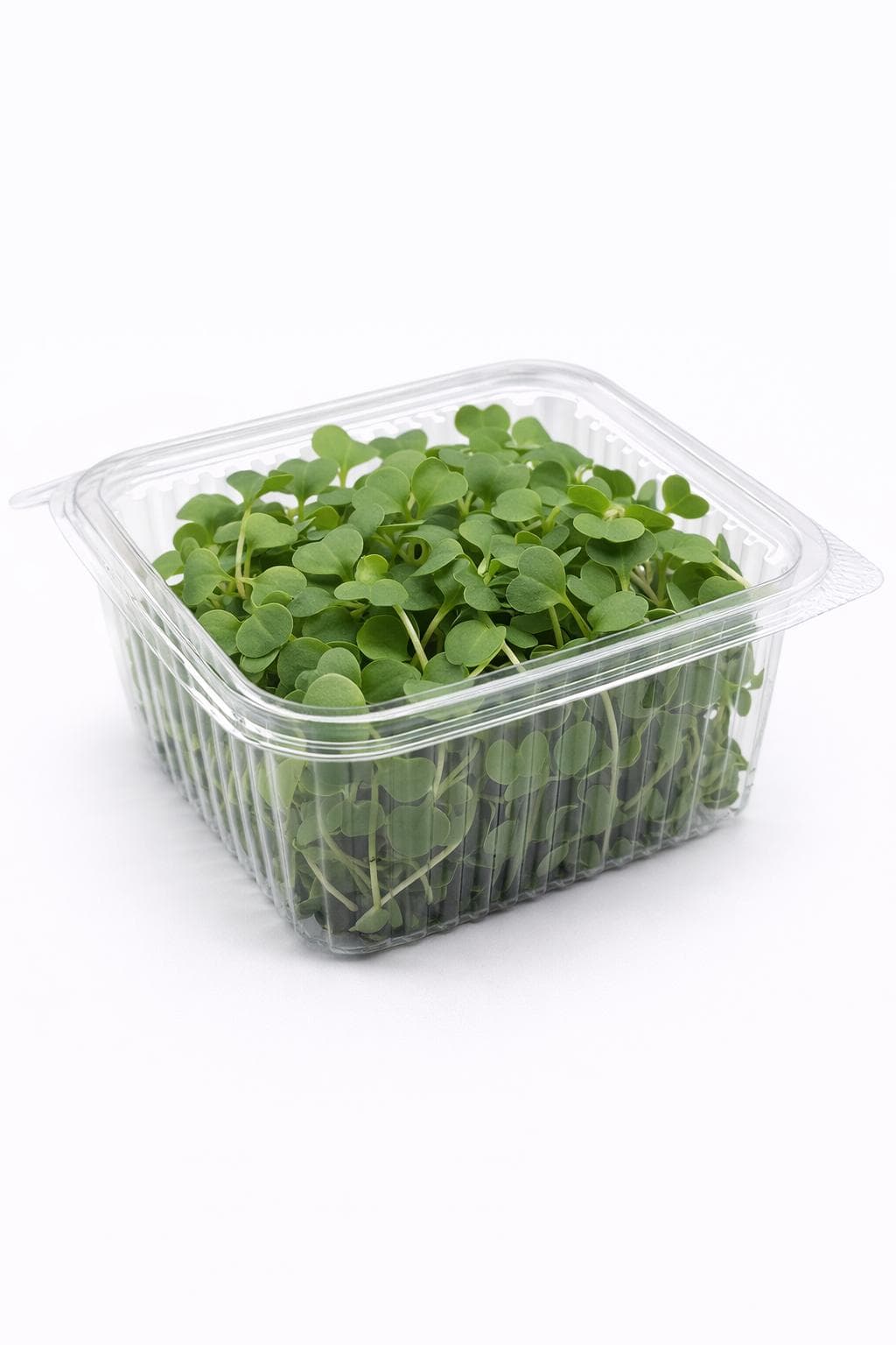 Kırmızı Turp (Radish) - Hasat Edilmiş Mikrofiliz