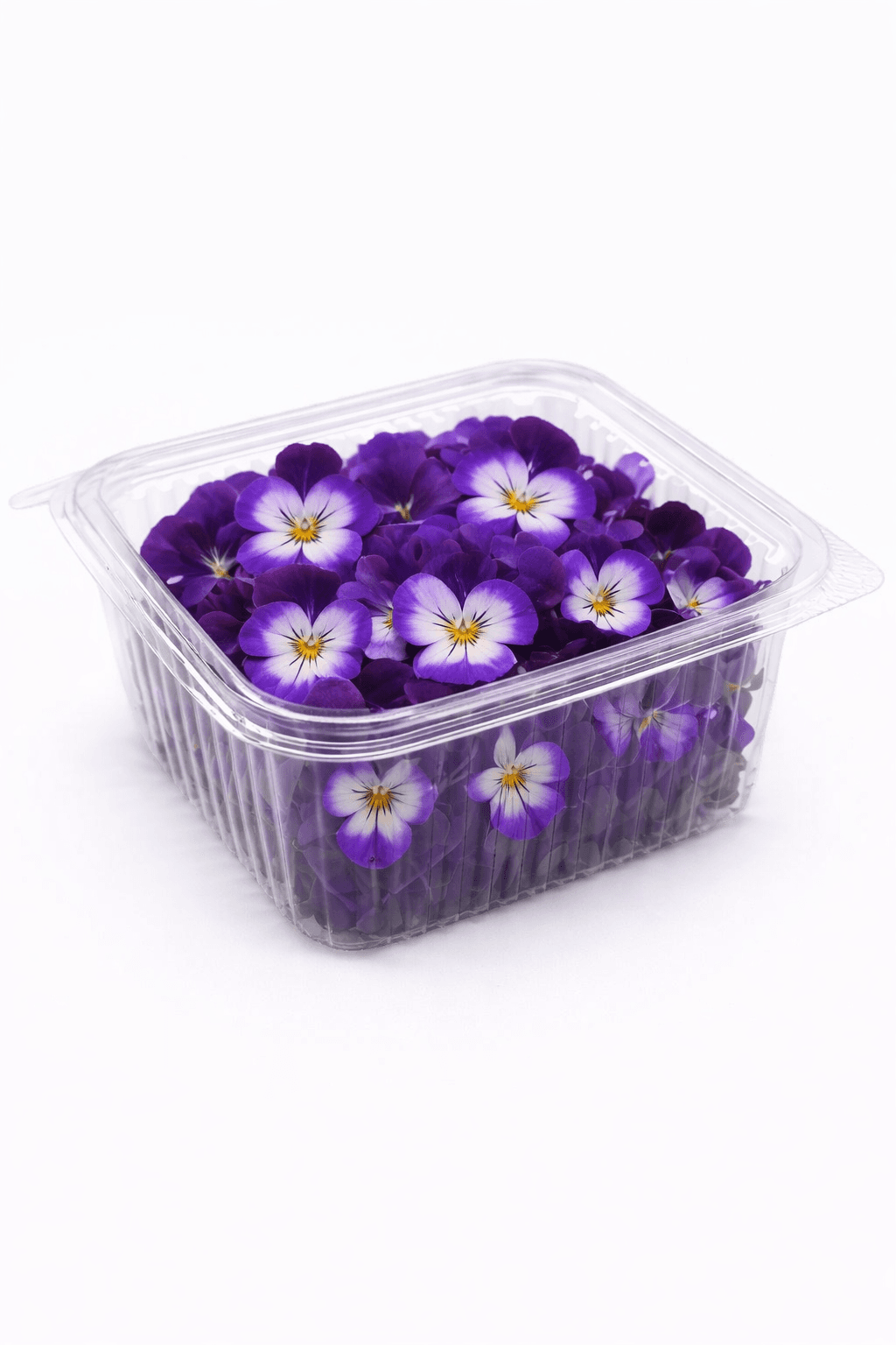 Mor Menekşe (Viola)