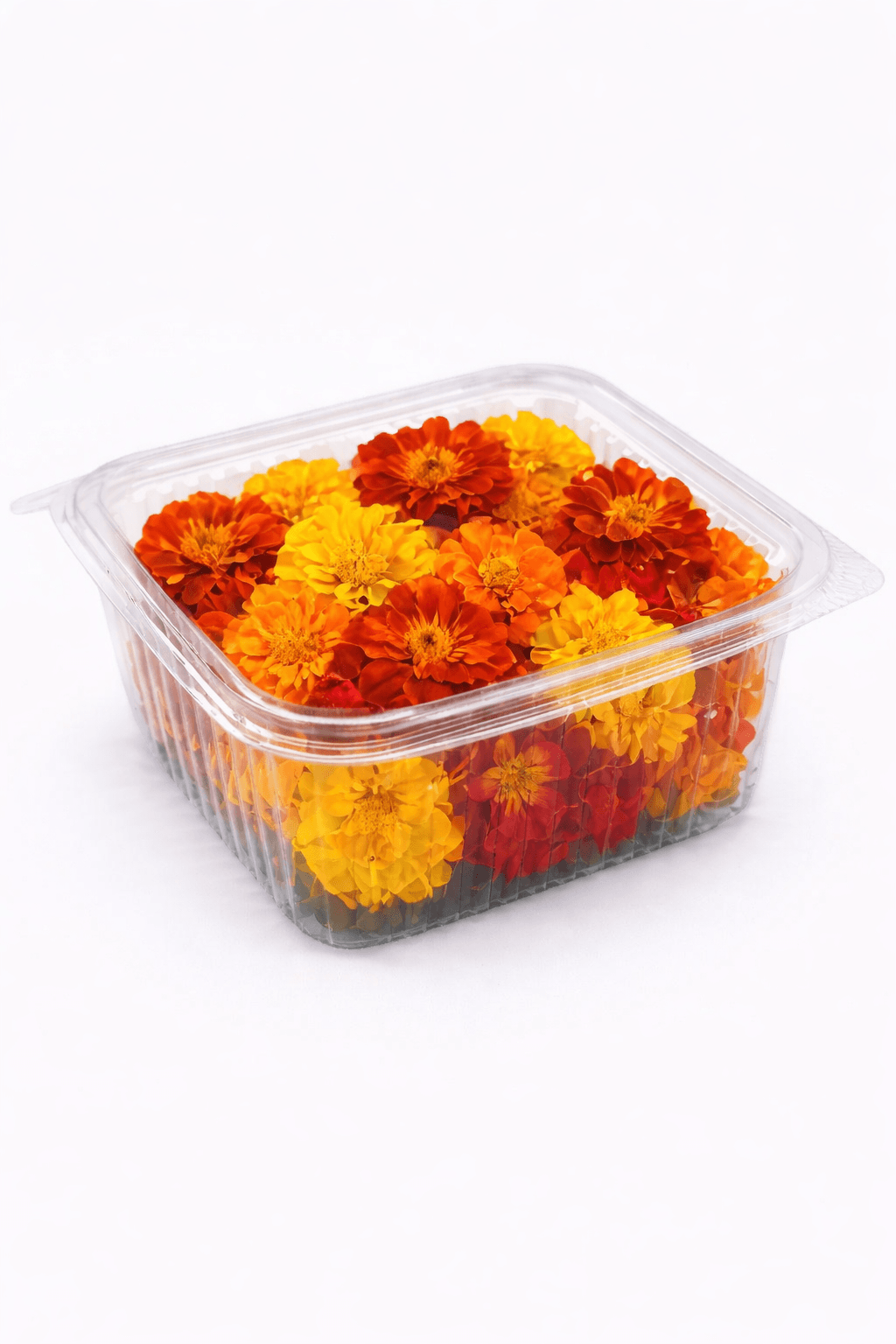 Kadife Çiçeği (Marigold)